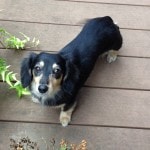 Thumbnail of related posts 010