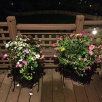 Thumbnail of related posts 187