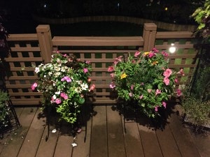 Thumbnail of post image 075