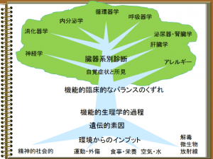 機能性医学の考え方・樹