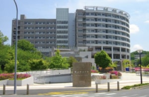 Thumbnail of post image 078