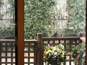 Thumbnail of post image 124